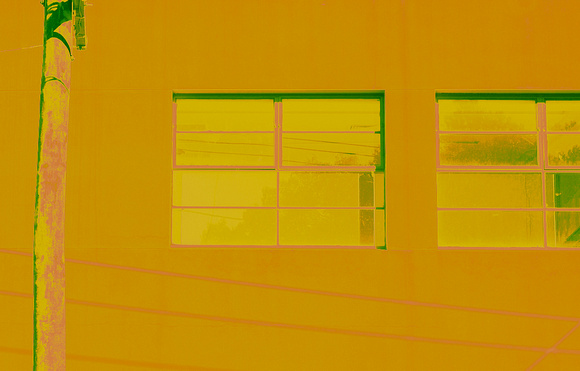 Yellow Windows__D4C6295