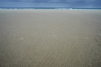 Corduroy beach_D4V0087