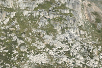 Rocky Hillside__DSC0392