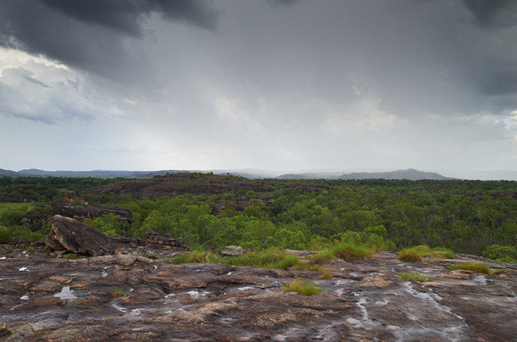 Wet Season_DSC_2480