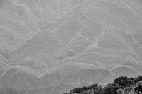 BW Hillside_DSC_5295 1